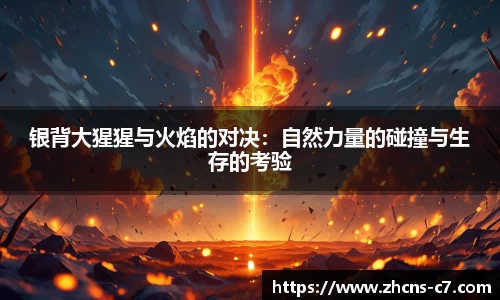 www.c7c7.app